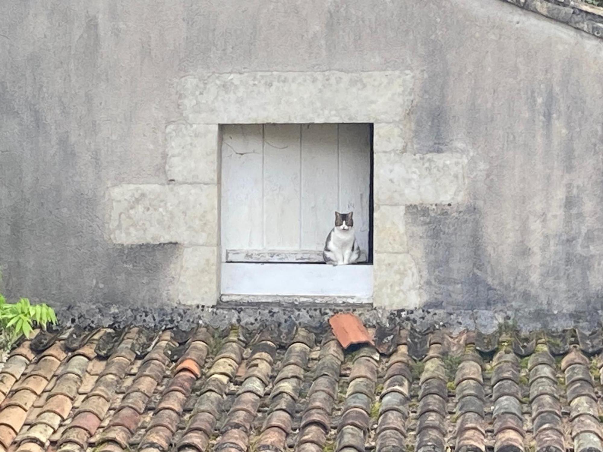 Mazette! Le Chateau Niort Exteriér fotografie
