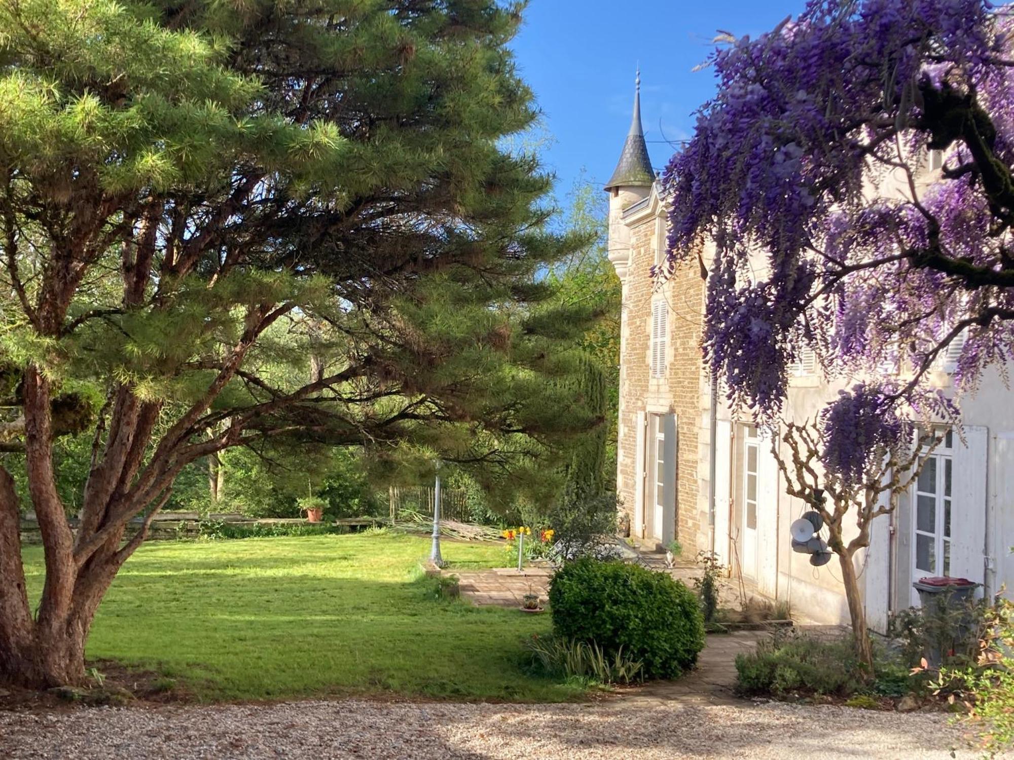 Mazette! Le Chateau Niort Exteriér fotografie